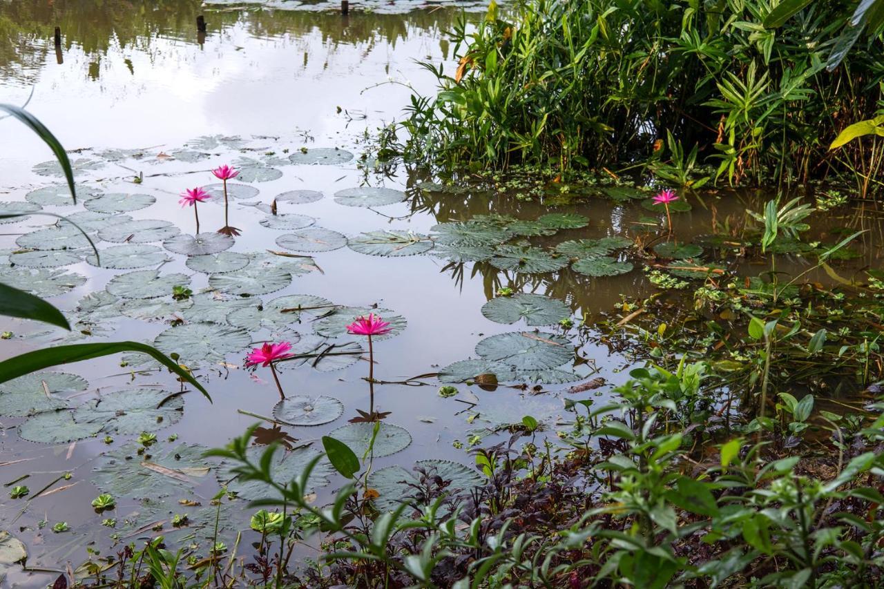 Apa Villa Illuketia Unawatuna Buitenkant foto
